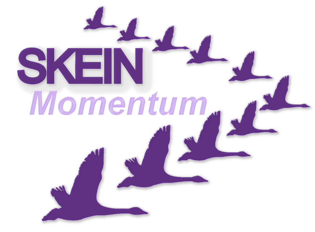 SKEIN Momentum