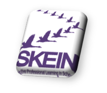 skein logo
