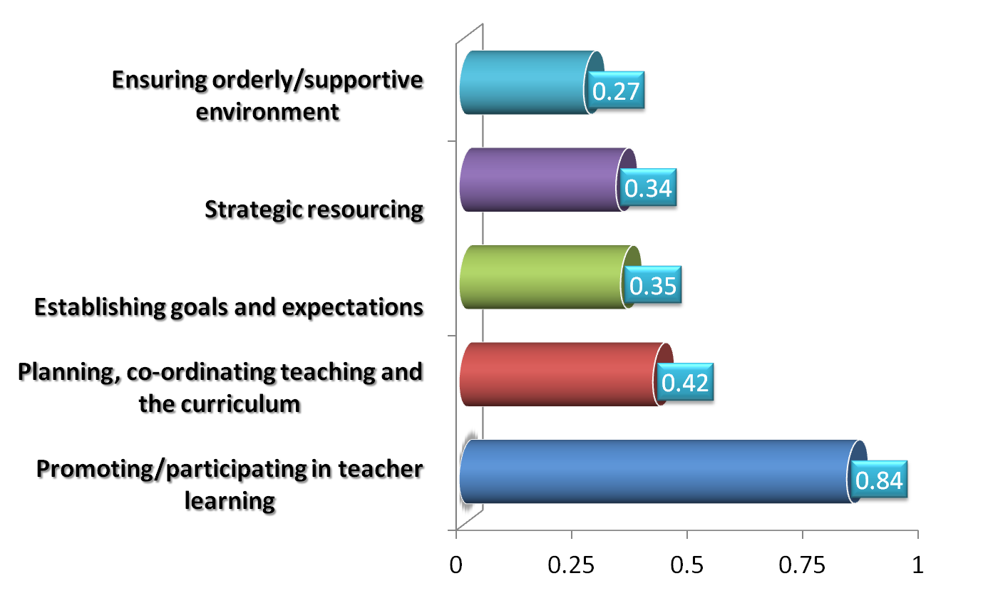 leaders effect on learning