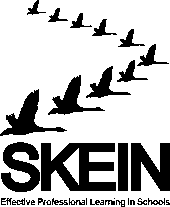 Skein logo