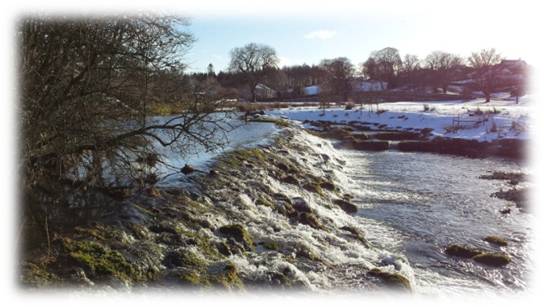 Wier In Snow